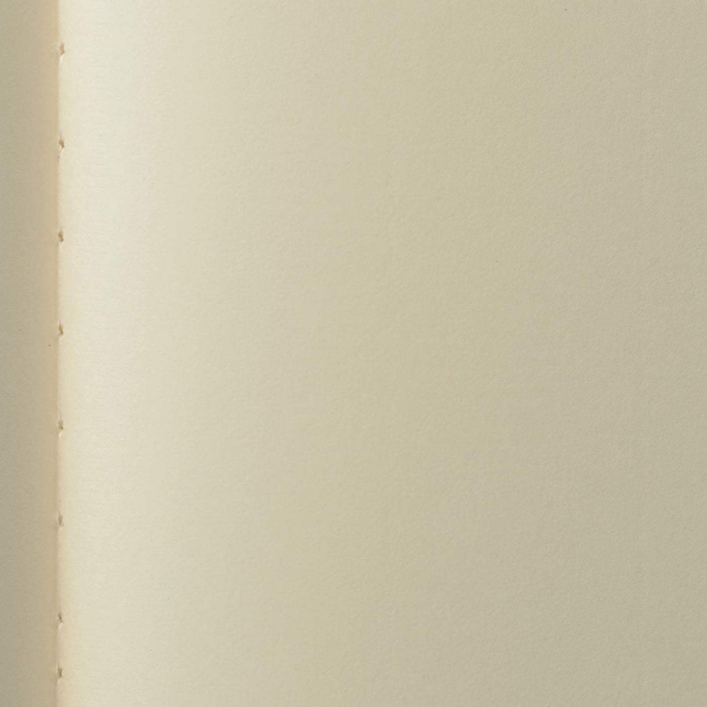Life Notebook, Noble Notebook, Plain, A4 N34