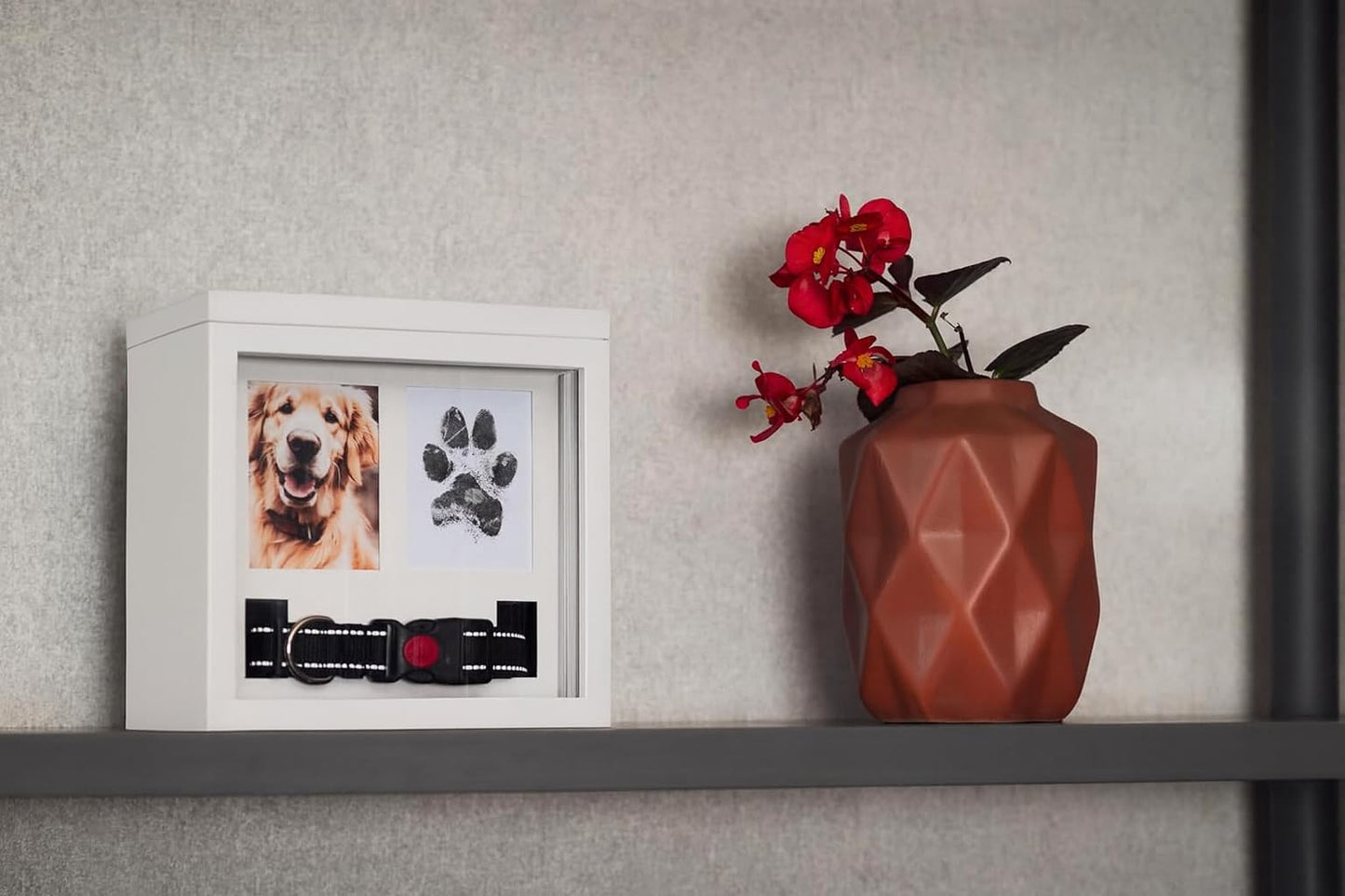 OtterPets Large Dog Urn for Ashes, 4 Customizable Displays with Paw Print Ink Kit, Pet Urn for Dog Ashes, Pet Cremation Box (White)