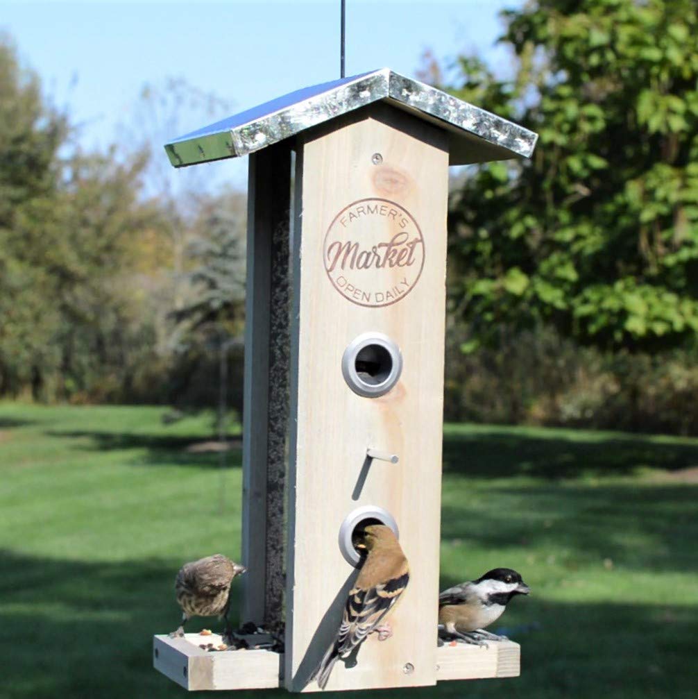 Wild Wings WWGF1-DECO Galvanized Weathered Vertical Cedar Bird Hopper Feeder