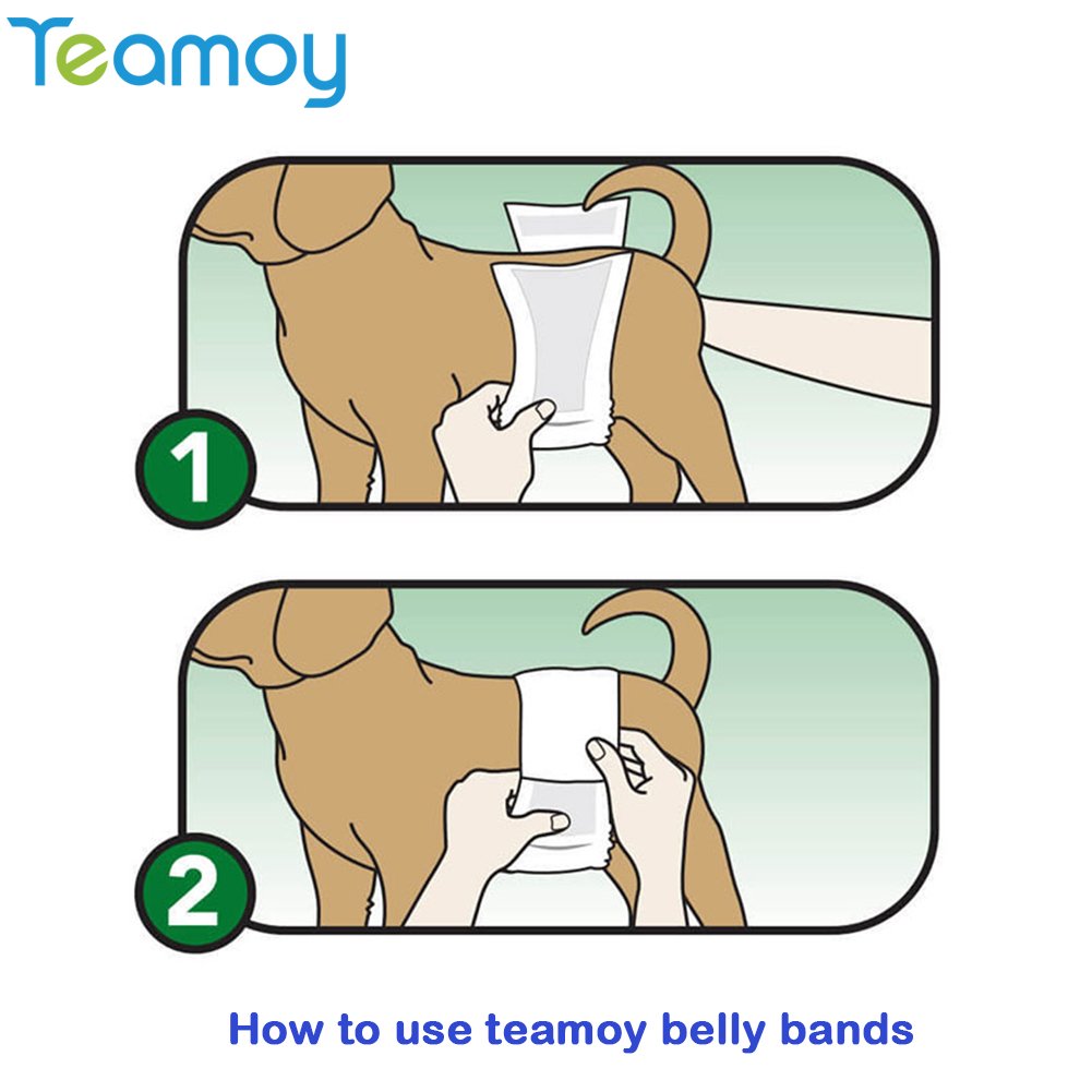 Teamoy 4pcs Reusable Wrap Diapers for Male Dogs, Washable Puppy Belly Band (XL, Black+ Gray+ Green+ Purple)
