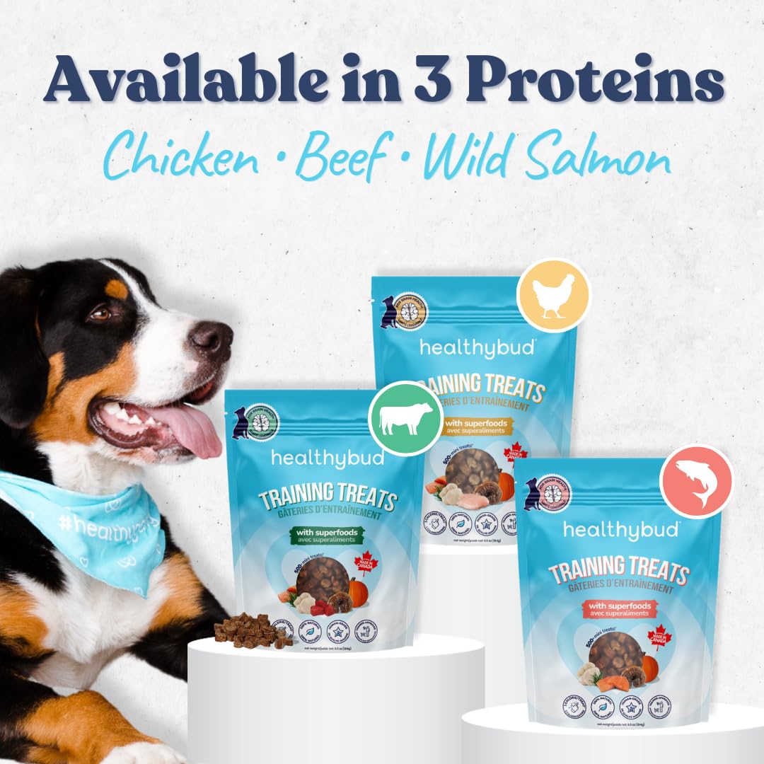 Healthybud Beef Mini Training Treats for Dogs Low-Calorie Soft Liver Treats for Puppies & Small Dogs with Reishi Lion’s Mane Pumpkin Salmon Oil Grain-Free and Made in Canada 6.5oz 3Pack Made in Canada
