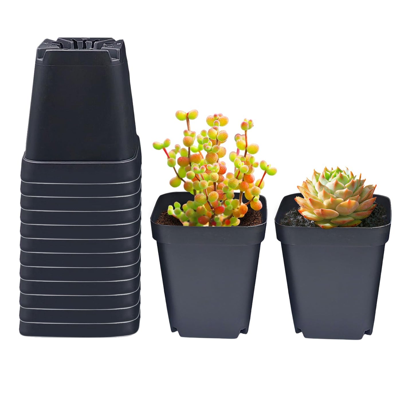 RooTrimmer Square Nursery Pots 3.54Inches 90 Pcs Seedling Flower Post Plastic Thick Seed Start Germination for Plant Propagation,Sturdy Suit for 1020 Trays(Black,3.54Inches,90Pcs)