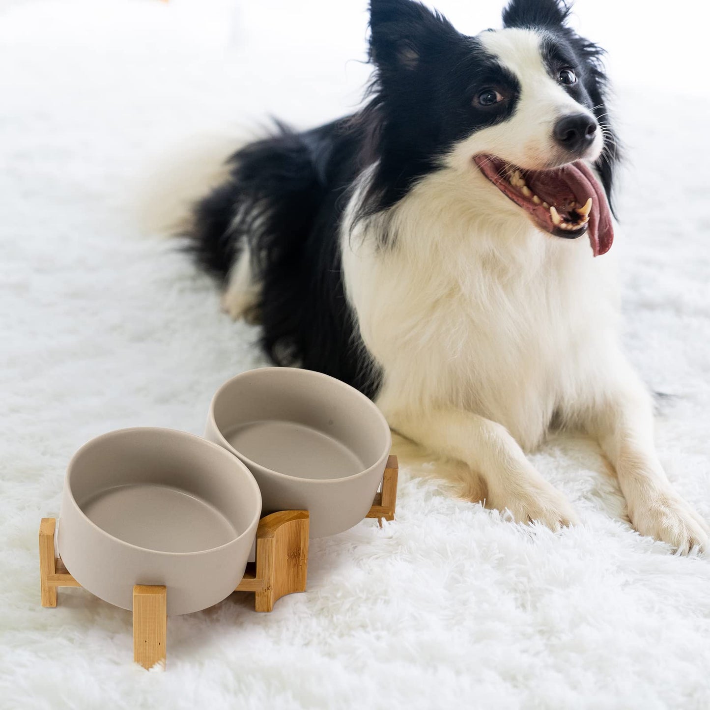 15° Slanted Ceramic Dog and Cat Bowl with Wooden Stand, Tilted Bulldog Food and Water Bowl No Slip Non-Spill for Cats Medium Dogs Big Face Pets 28.7 OZ (3.6 Cups)