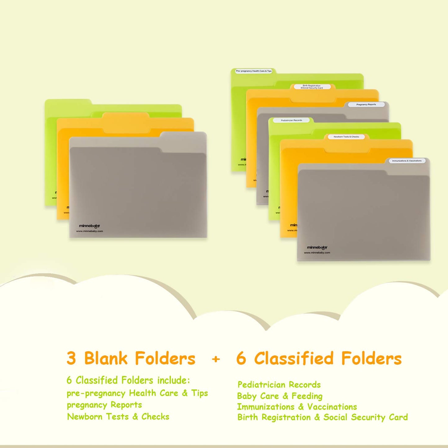 Baby Document Organizer, Briefcase With 12 Folders and 12 Monthly Memory Cards