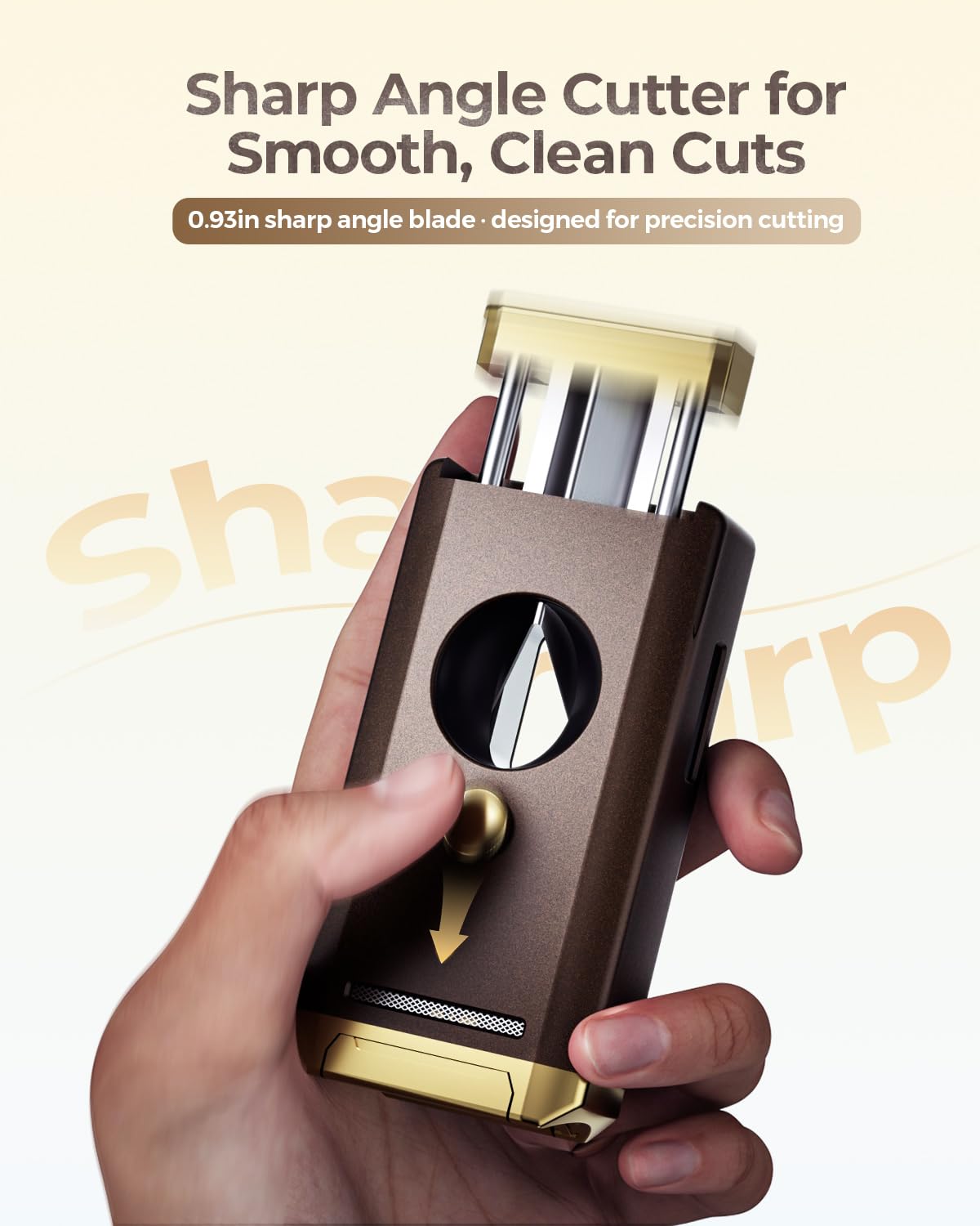 All-in-one Torch Lighter, Multifunctional Accessories with Gift Box (Brown and Gold (Brown and Gold)
