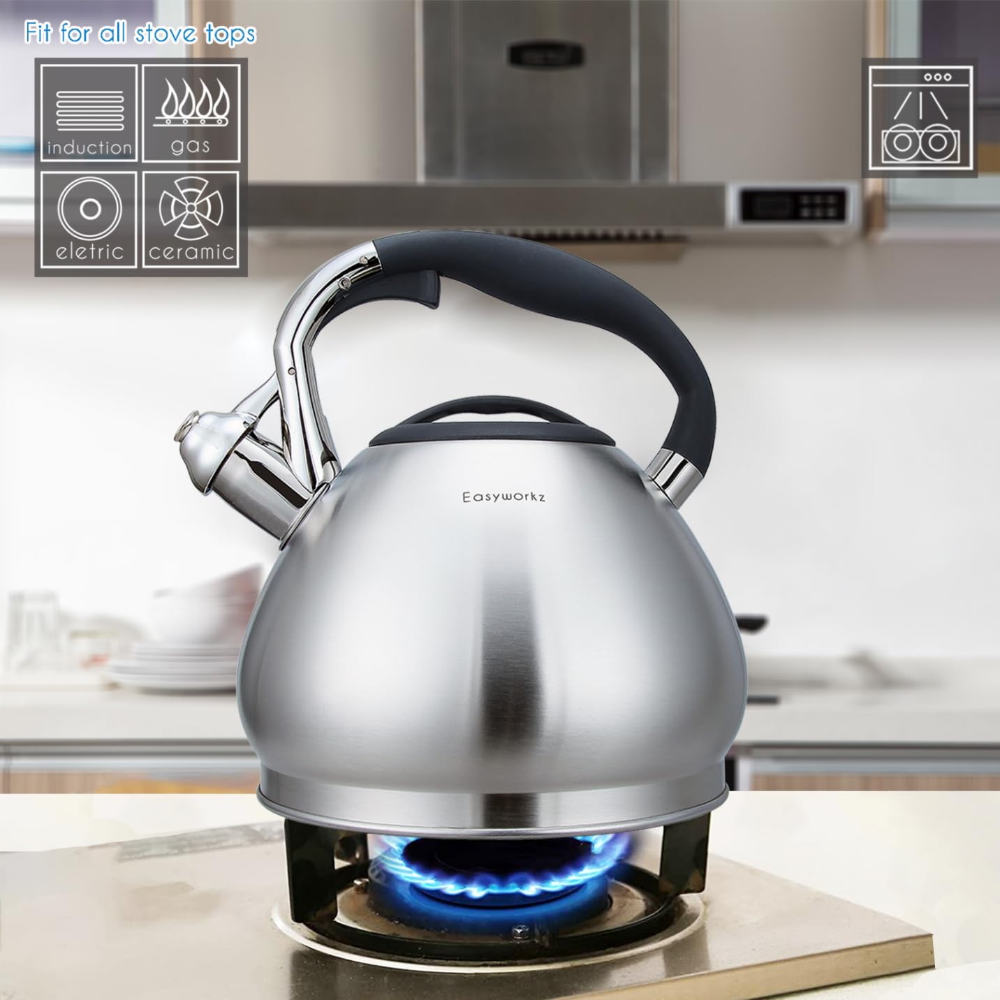 Easyworkz Whistling Stovetop Tea Kettle Food Grade Stainless Steel Hot Water Tea Pot with Loud Whistle,3.1 Quart(3.0l)