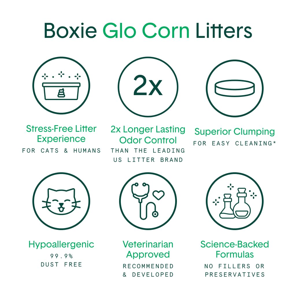 Boxie® Glo™ Natural Attractions 30 Day Odor Control Clumping Corn Cat & Kitty Litter, 6.5 lb, 99.9% Dust-Free, Plant-Based, Lightweight, Strong Clumping, UV Light Attractant for Litter Box Use