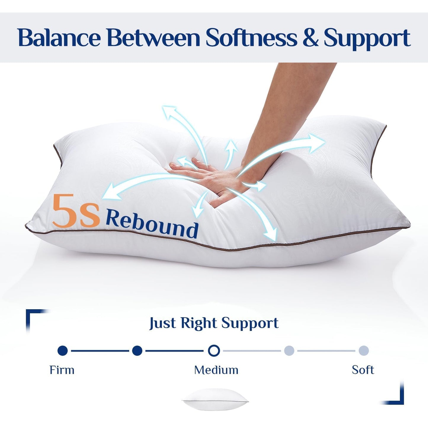 JOLLYVOGUE Pillows Queen Size 2 Pack for Sleeping, Soft and Supportive Bed Pillow for Side and Back Sleeper, Down Alternative Hotel Collection Pillows-20 x30