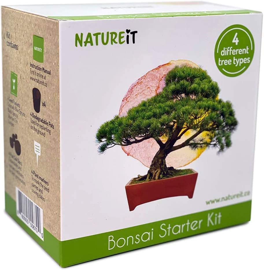 Bonsai Tree Seed Starter Kit - All You Need to Grow 4 Bonsai Trees from Seeds. All-in-One Indoor/Outdoor DIY Beginner Grow kit for Men & Women. Best Gift Idea for Mom and Dad (Starter Kit)