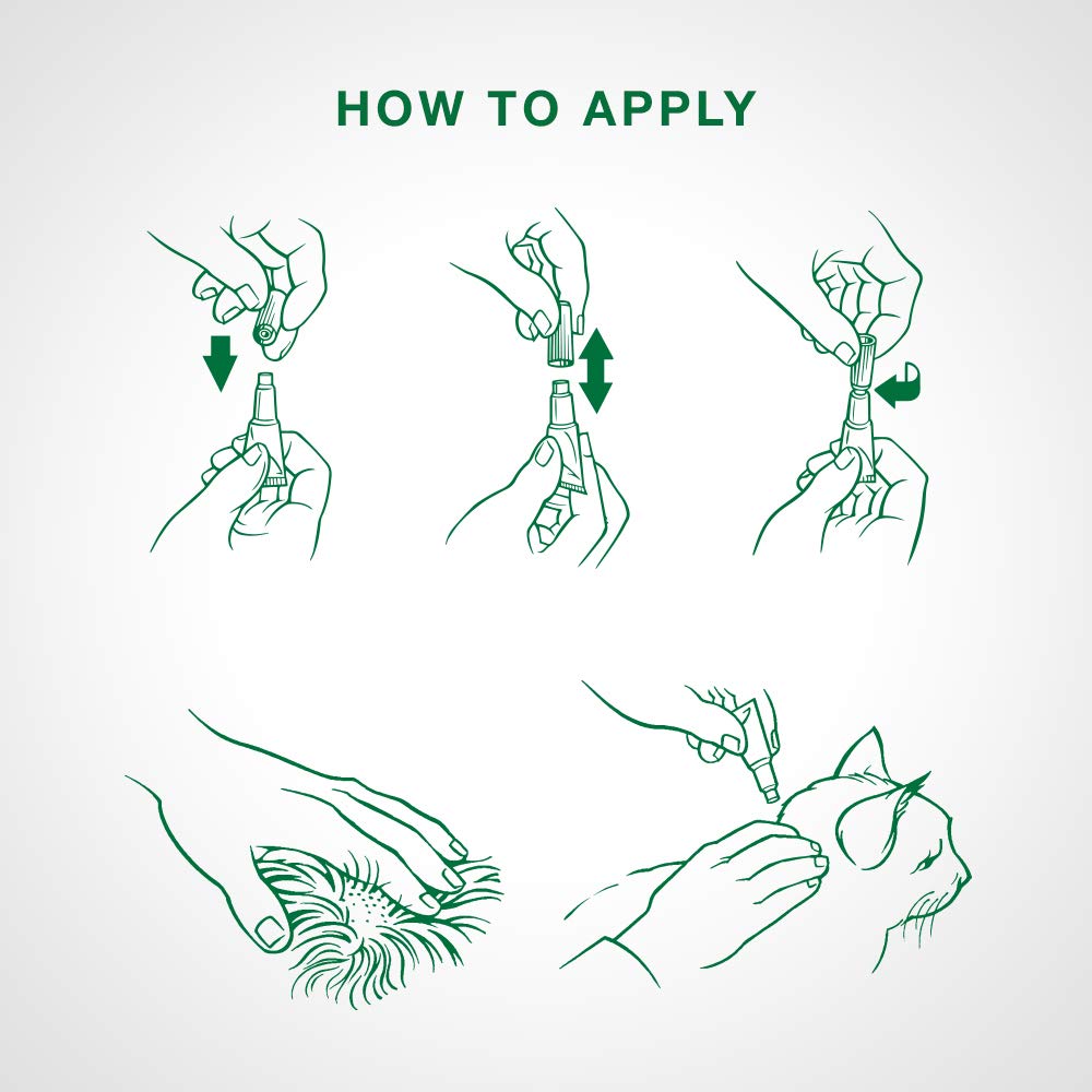 Advantage II Flea Protection for Large Cats weighing over 4 kg (over 9 lbs.) - 2 doses