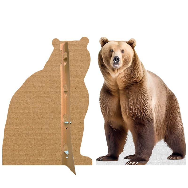 Bear - Life Size Cardboard Cutout Standup People with Support Standee | Animals -2