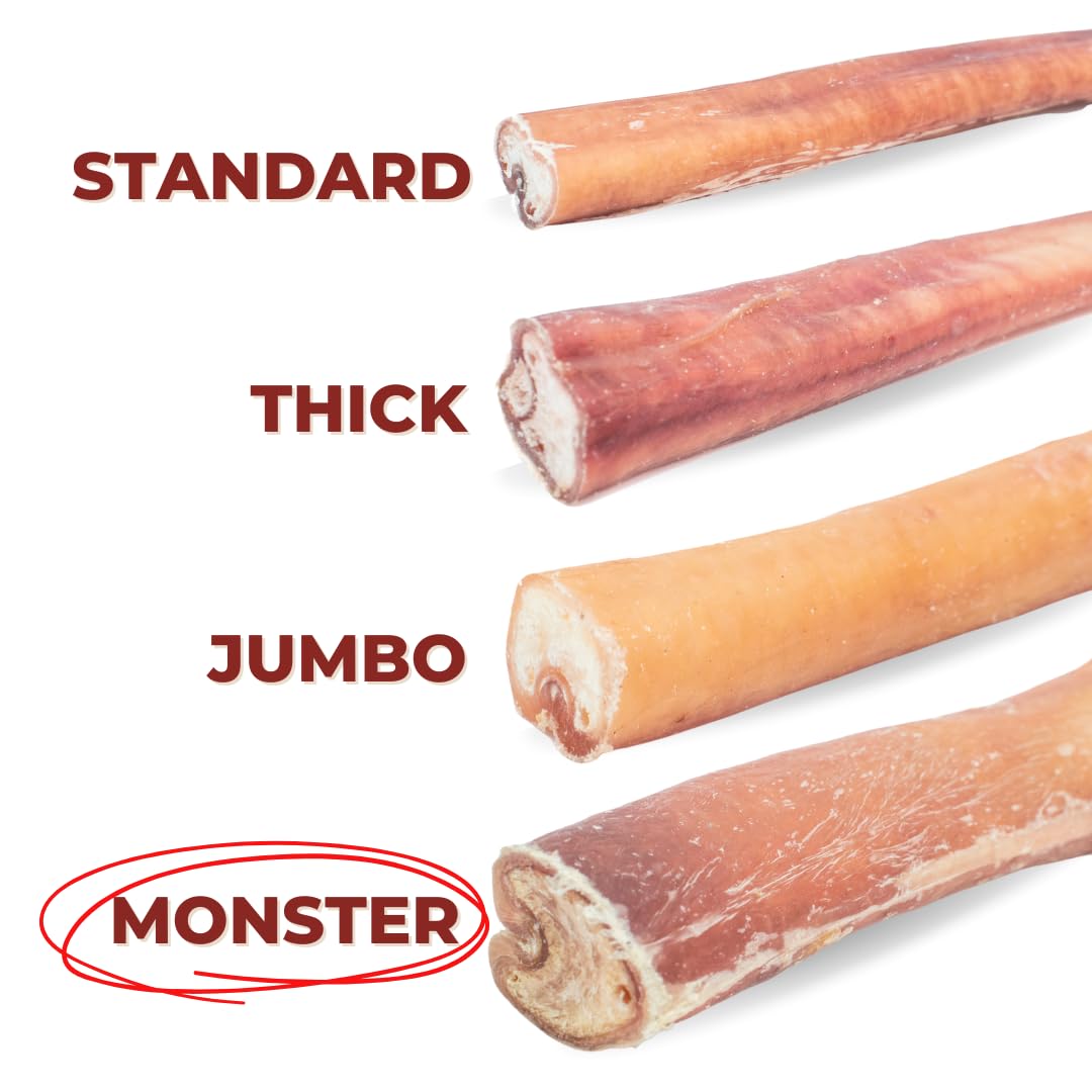 Bully Bunches Premium 6 Inch Monster Odour-Free Bully Sticks for Medium & Large Dogs - Long Lasting Chew Bones - All Natural & Single Ingredient, 100% Beef Dog Treat, Rawhide Alternative (8 Pk)