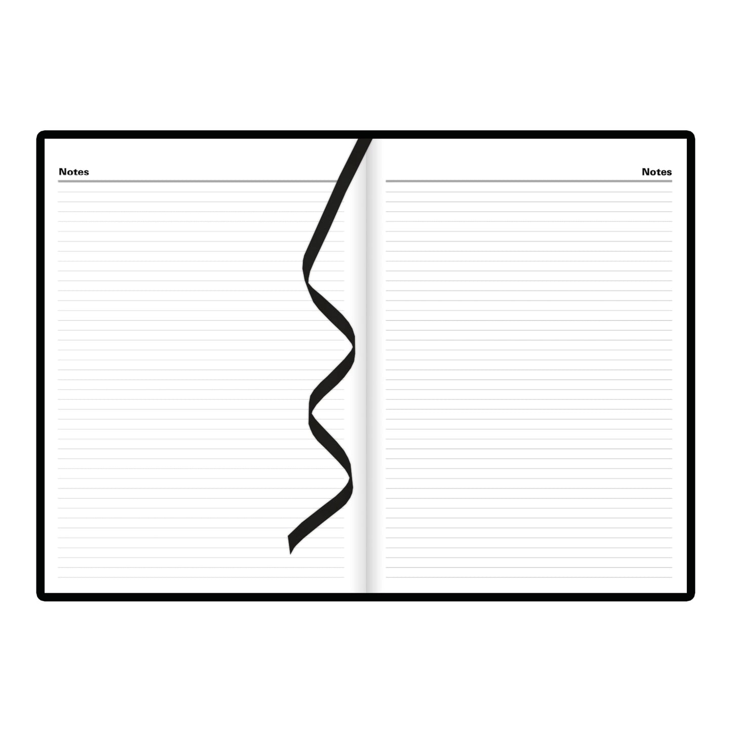 Letts of London® Standard 2025 Daily Planner, 12 Months, January to December, Day-Per-Page, A4 Size, 11.75" x 8.25", English. Black (C10ZBK-25)