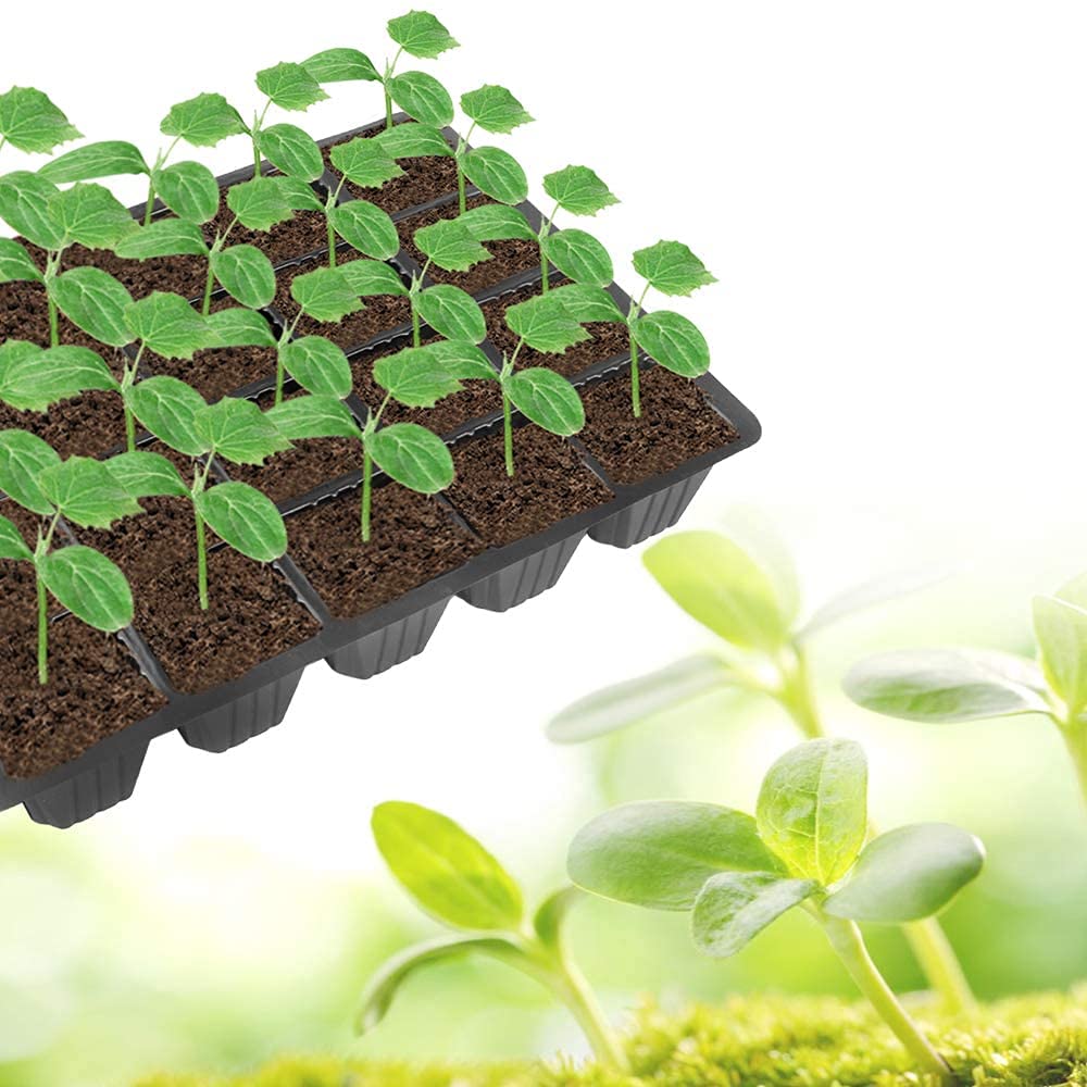 SHIYETA 240 Cells -24 Grow Trays with Humidity Dome and Cell Insert - Mini Propagator for Seed Starting and Growing Healthy Plants Durable Reusable and Recyclable 10 Pack