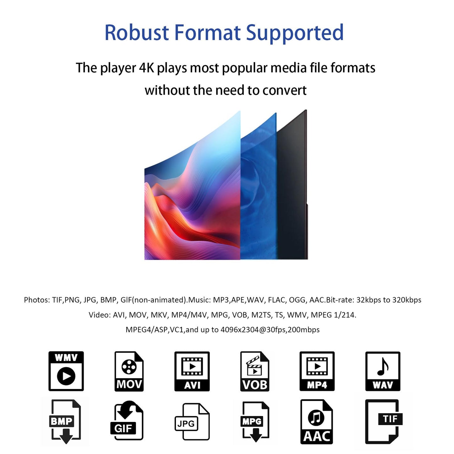 4K Ultra HD Digital Media Player for USB Drives and microSD Cards,Featuring HDMl and Analogy AV,Digital Signage,with Automatic Playback,Resume and Looping Capability for H.265 Videos,Music and Photos