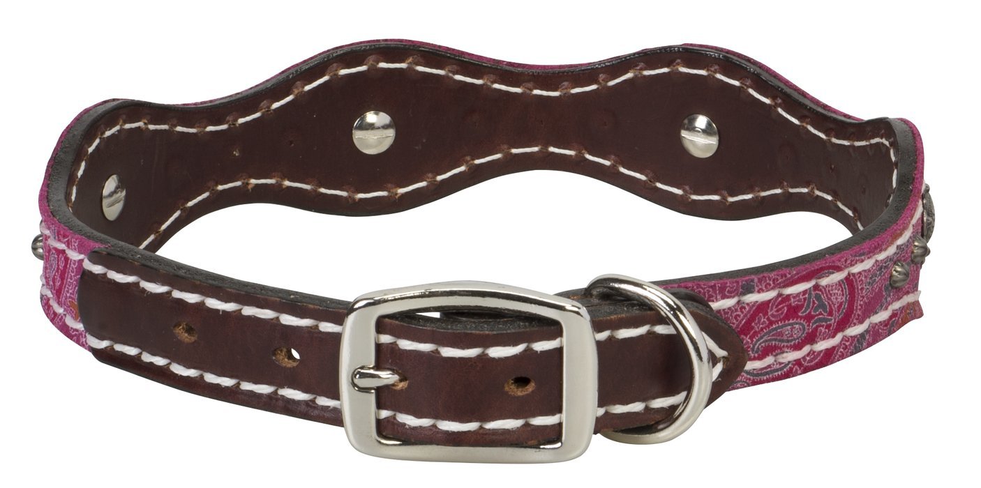 Weaver Pet Vintage Paisley Collar