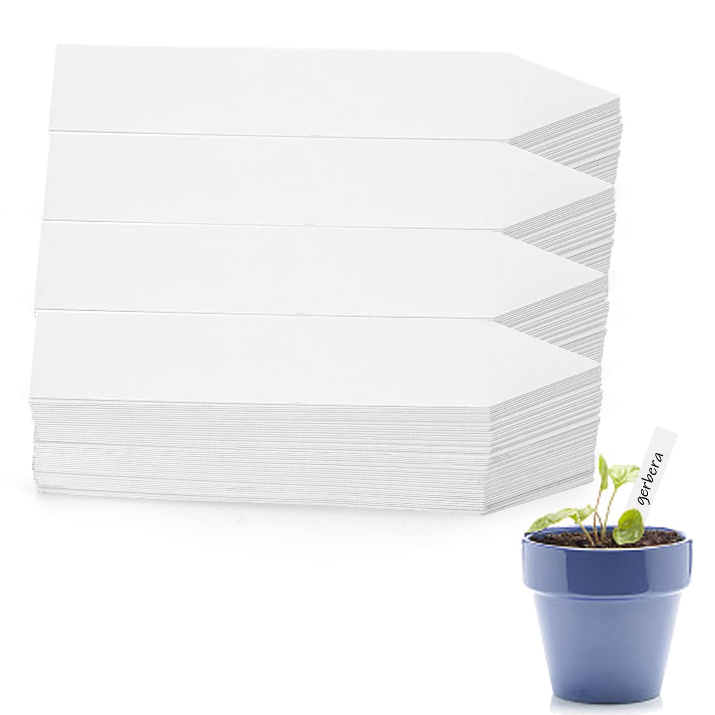 Foraineam Pack of 1000 Plant Stakes, Plant Signs, Hanging for Outdoors, Weatherproof Garden Signs, Plug-in Labels, Weatherproof Plant Labels for All Gardens, White, 10 x 2 cm