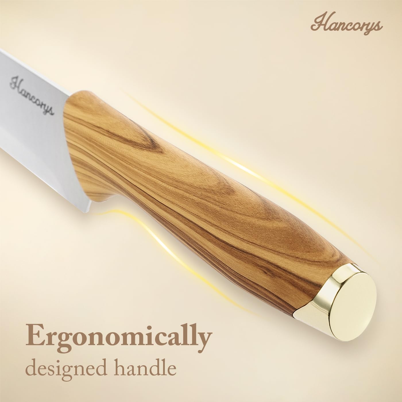 Hancorys Knife Set, 14 Pieces Kitchen Knives Set with Block and Gift Sharpener, High Carbon Stainless Steel and Ergonomic Handle Knife Block Set