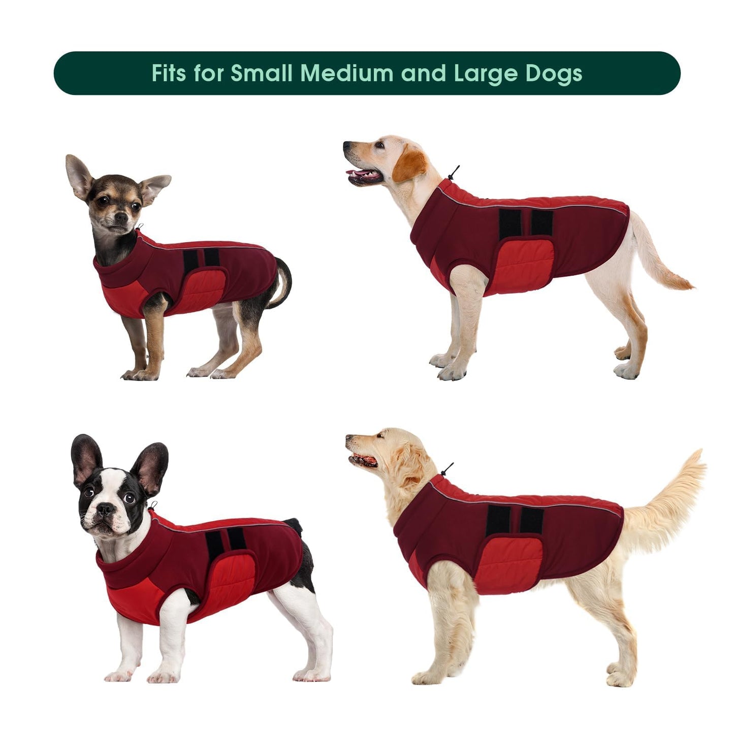 Kuoser Red Dog Coat, Winter Dog Jacket, Medium Size, Polyester Blend, Reflective Strips, Adjustable, Machine Washable