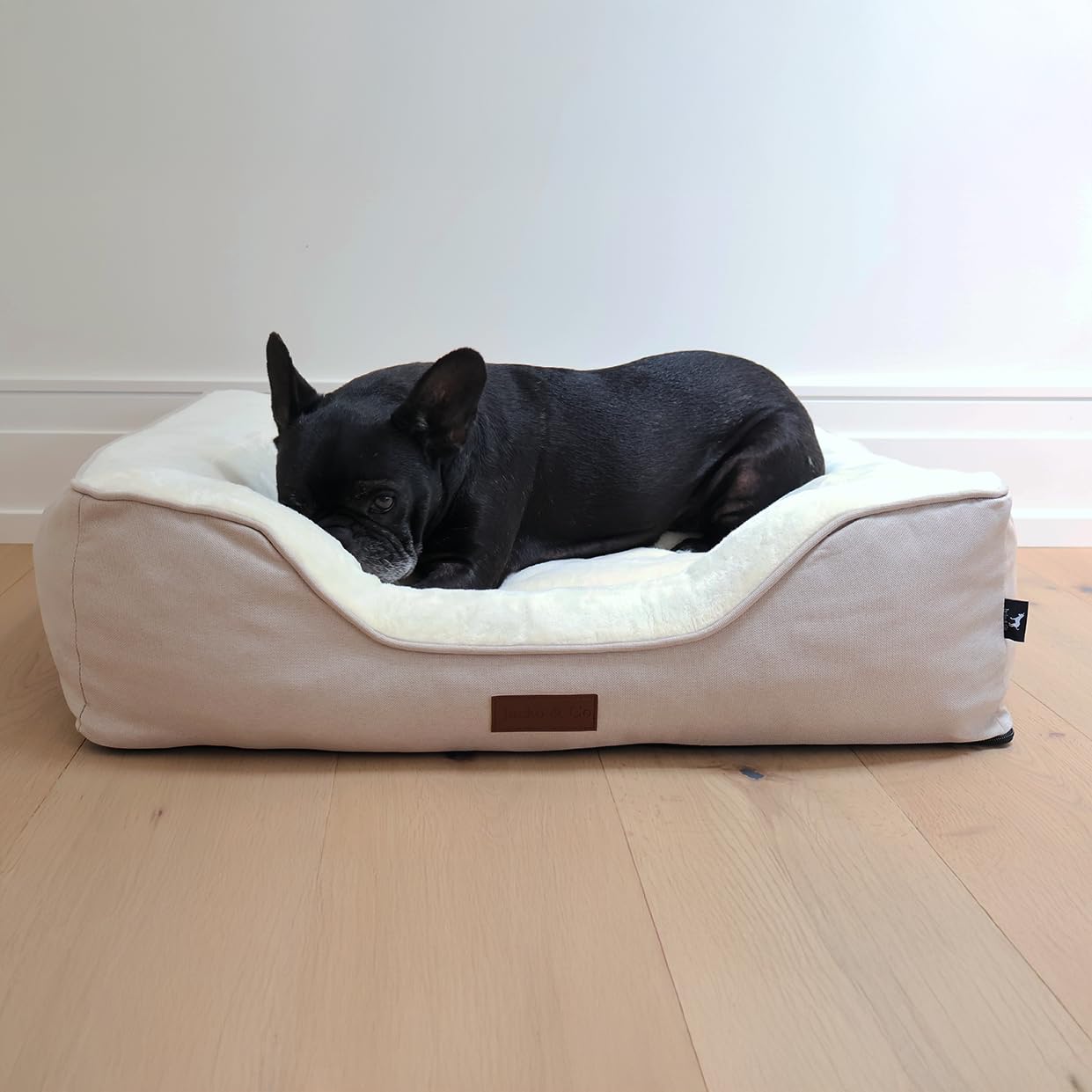 JACKO & CO - Premium Orthopedic Dog Bed with Egg Crate Memory Foam – Waterproof Lining & Removable Machine Washable Cover – Soft Velvet Fabric & High-Density Foam with Non-Slip Base (Beige, X-Small)