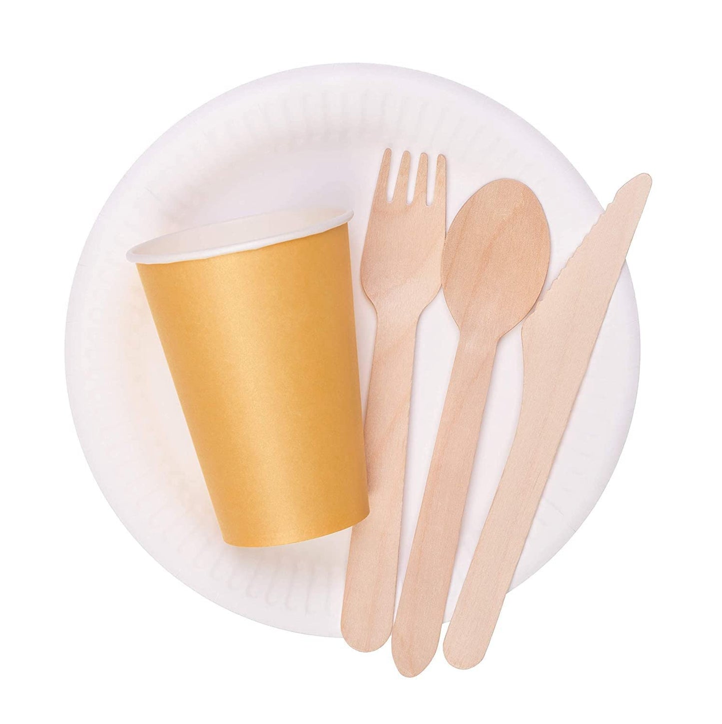 Spa Stix 6" Disposable Paper Plate - Pack of 500ct