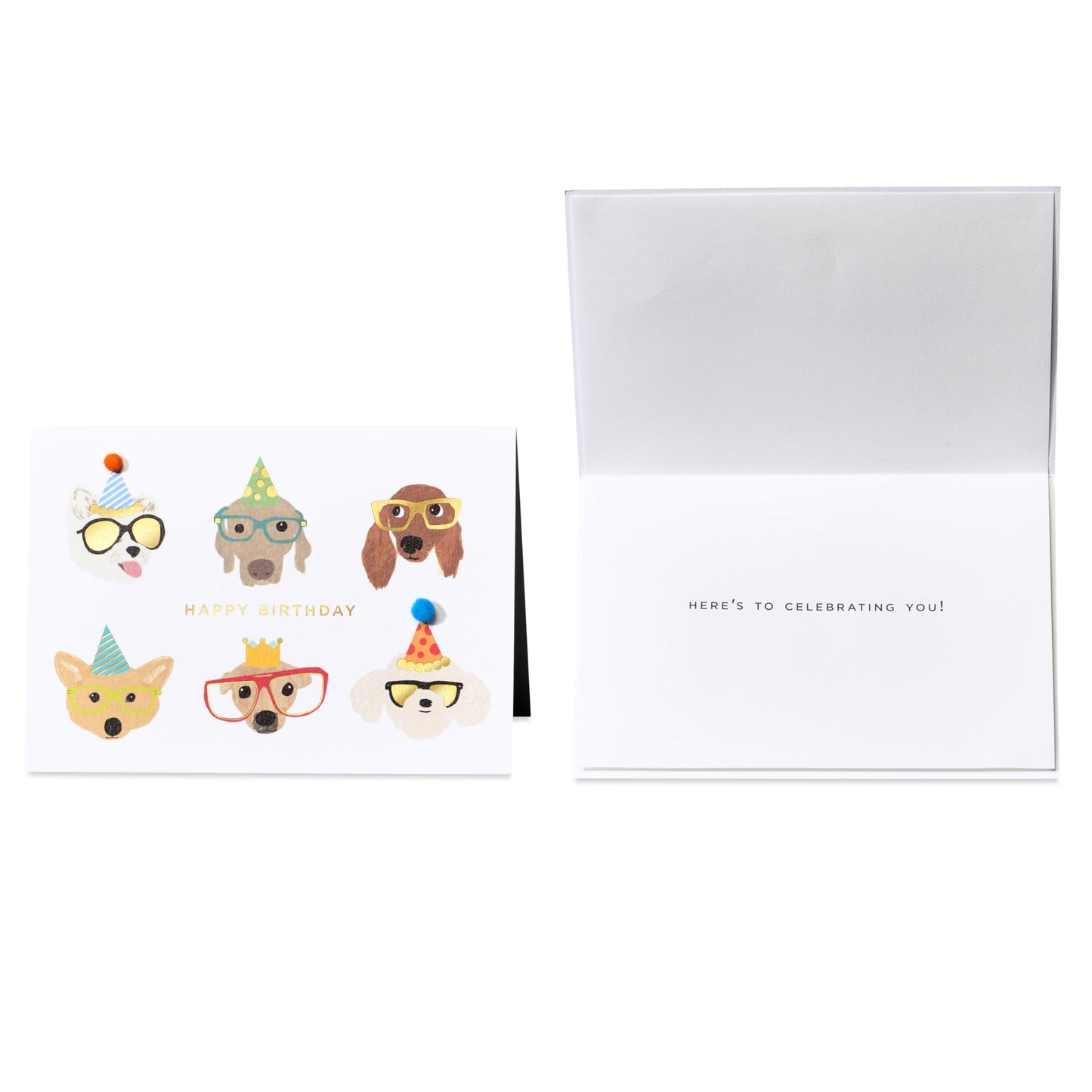 Papyrus 75th Anniversary Greeting Card Assortment for Birthday and All Occasion with Keepsake Box (6-count)