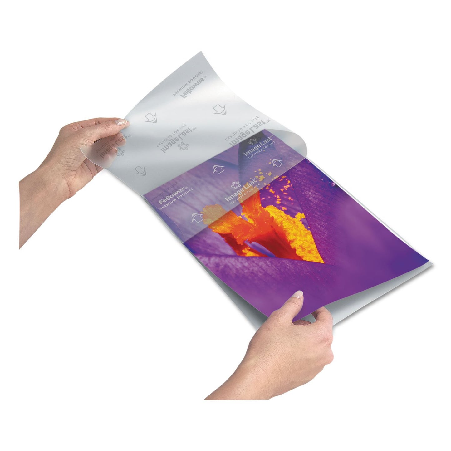 Fellowes 5244101 Laminating Pouches, Letter, 200pk (3Mil) 5244101