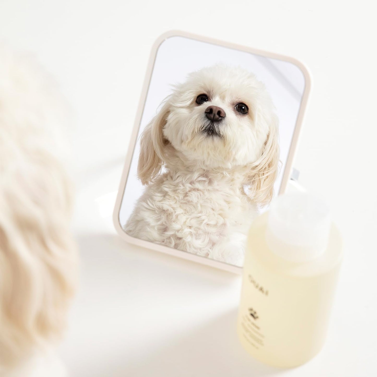 OUAI Fur Bébé Pet Shampoo - Cat & Dog Shampoo for Gentle Cleansing, Hydration & Shine - Vegan & Cruelty-Free Pet Supplies with Aloe Vera & Panthenol - Mercer Street Scent (16 Fl oz)