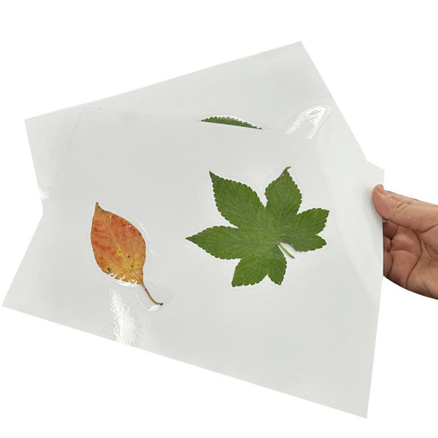 Coopaty Thermal Laminating Pouches, 5mil, 200-Pack, 8.9 x 11.4 Inches, Letter Size Sheets