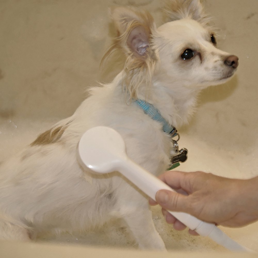 Danco 10086 VersaSpray Handheld Shower, White