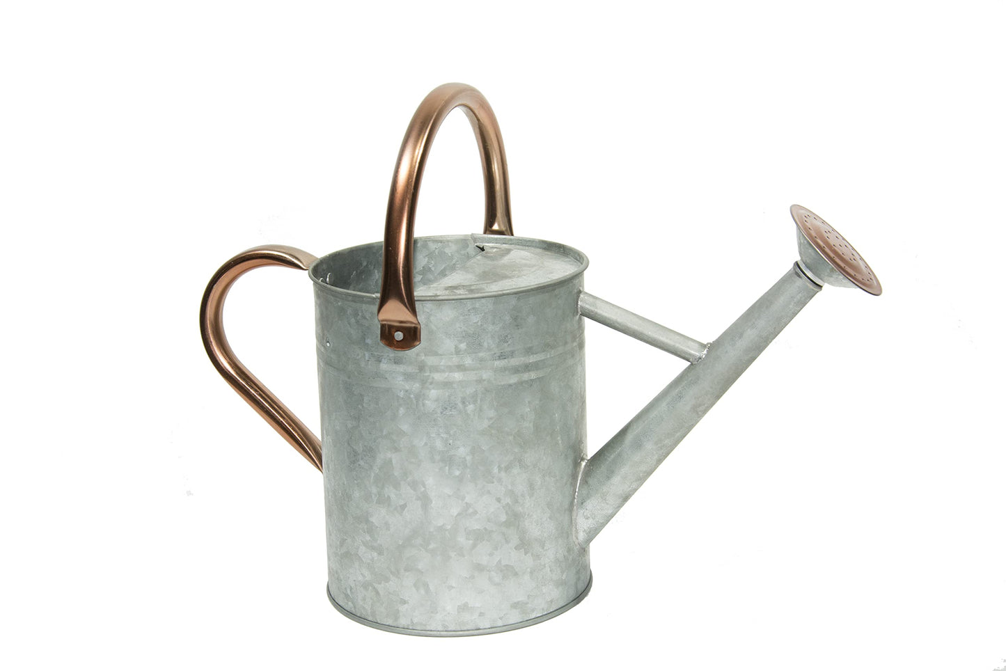 yourjoy Metal Watering Can, One Gallon Watering Cans Stainless Steel for Outdoor Indoor Garden Plants Watering (Silver)