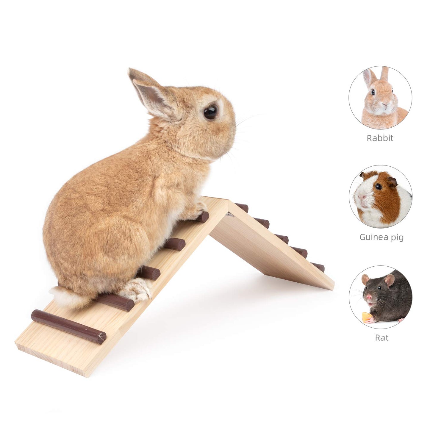 Niteangel Wooden Cage Bridge for Rabbits Guinea Pigs and Chinchilla Large Size