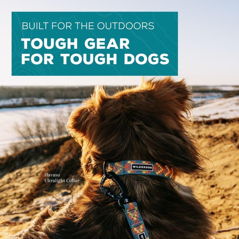 Wilderdog Ultralight Collar Series for Dogs - Small - Lilac