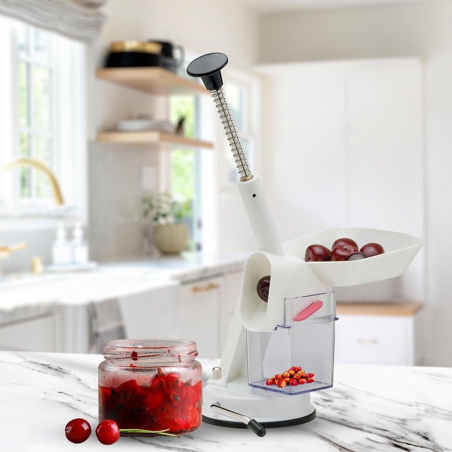 HIC Brands that Cook Mrs. Anderson's Baking Deluxe Cherry and Olive Pitter with Locking Handle