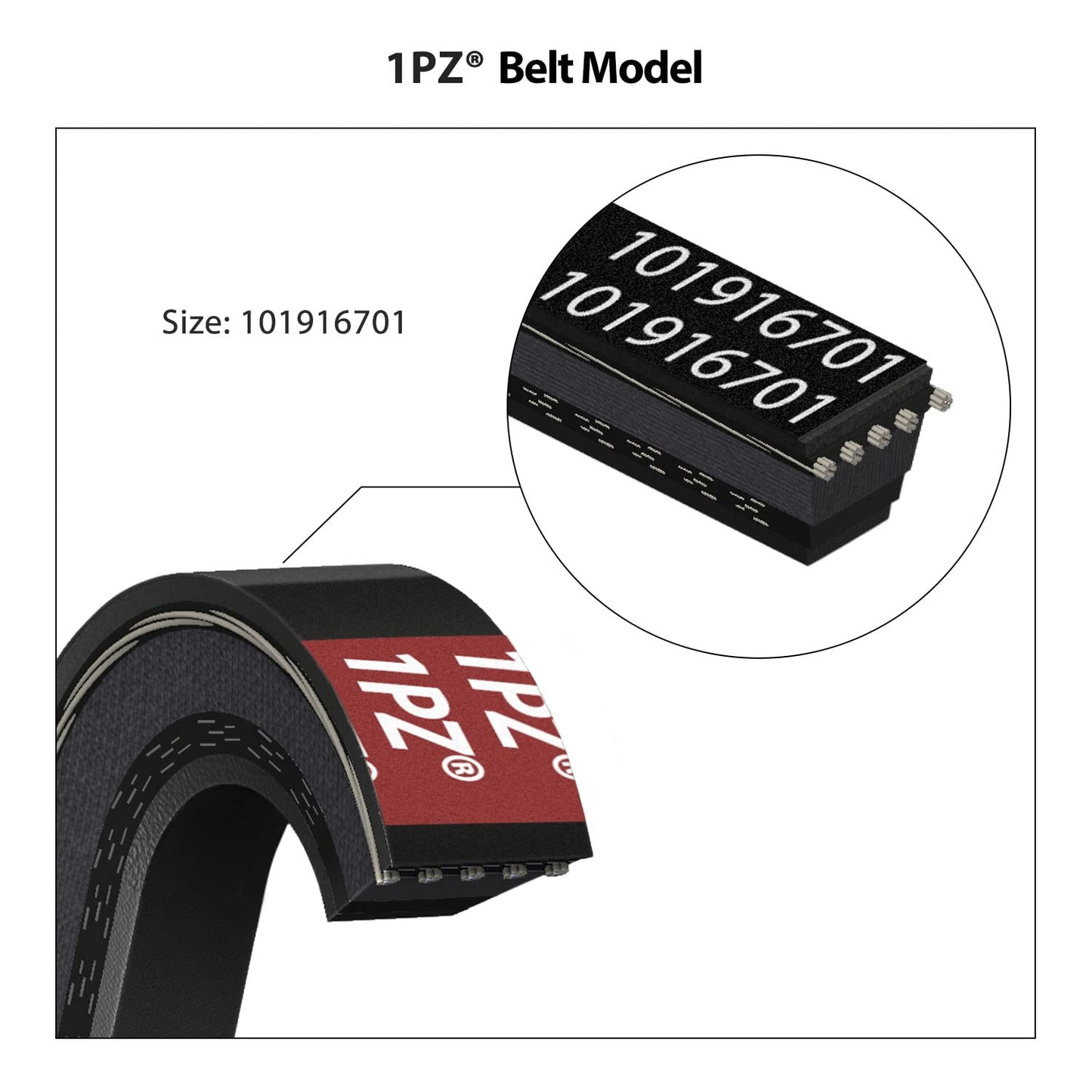 1PZ V1P-DS1 Clutch Starter Generator Belt & Drive Belt kit Replacement for Club Car DS 1997-Up & Precedent 2004-Up Golf Cart 1016203 101916701