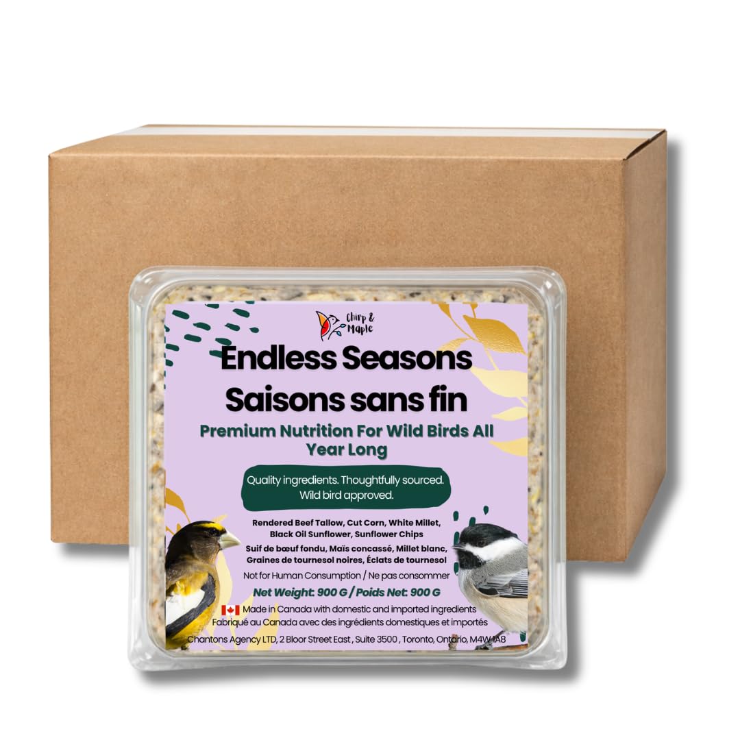 Chirp & Maple, Endless Seasons, Suet for Wild Birds, Wild Bird Food (9-Pack) 2.7KG
