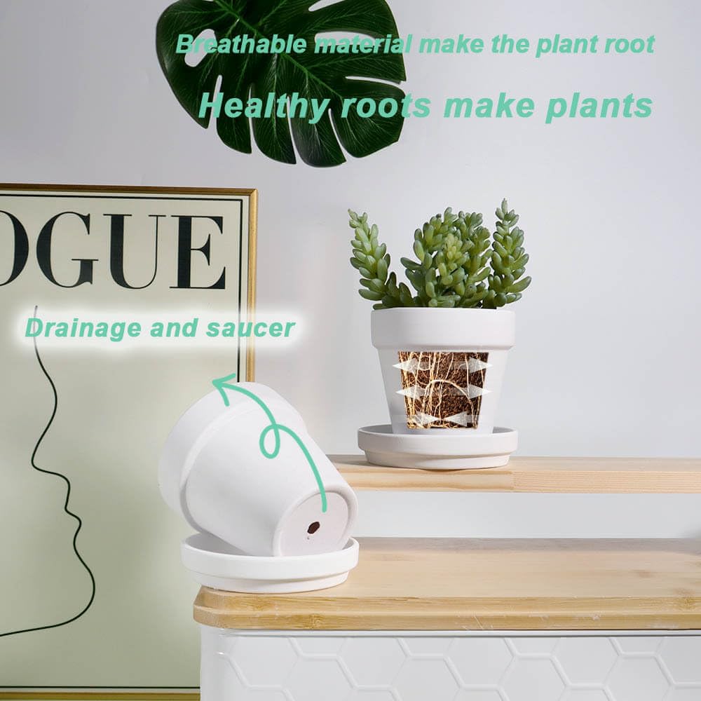 3 Inch White Clay Pot for Plant with Saucer - 12 Pack Small Terra Cotta Plant Pot with Drainage Hole, Flower Pot with Tray, Terracotta Pot for Indoor Outdoor Plant