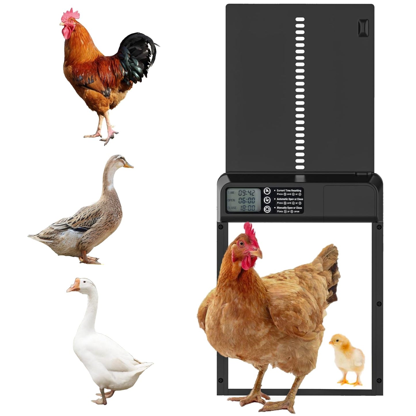 Automatic Chicken Coop Door - DINSLIA Thickening Aluminum Chicken Door - Waterproof Chicken Coop Door Battery Powered with Timer LCD Screen