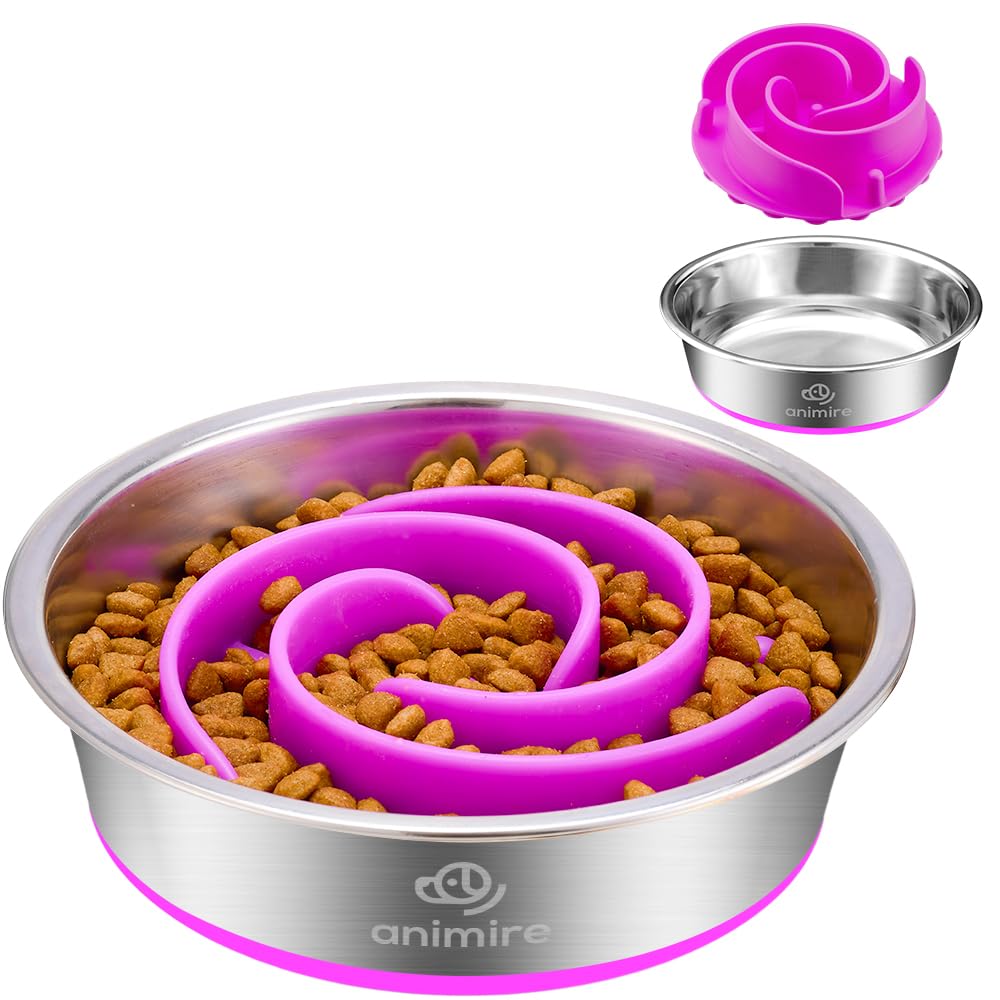 2-in-1 Metal Dog Bowl with Slow Feeder Insert, Stainless Steel Dog Bowls Food Grade 304, Water Food Bowl with Anti-Slip Silicone Base for Small, Medium, Large Dogs
