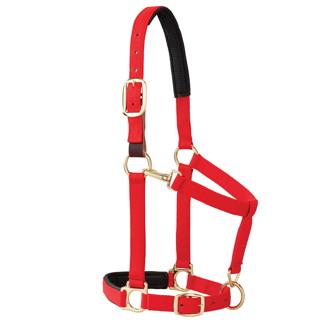 Weaver Equine Breakaway Horse Halter, Comfort Foam Padding, Adjustable Chin & Throat Snap Halters for Horses, Equine Tack,Average Size, Red