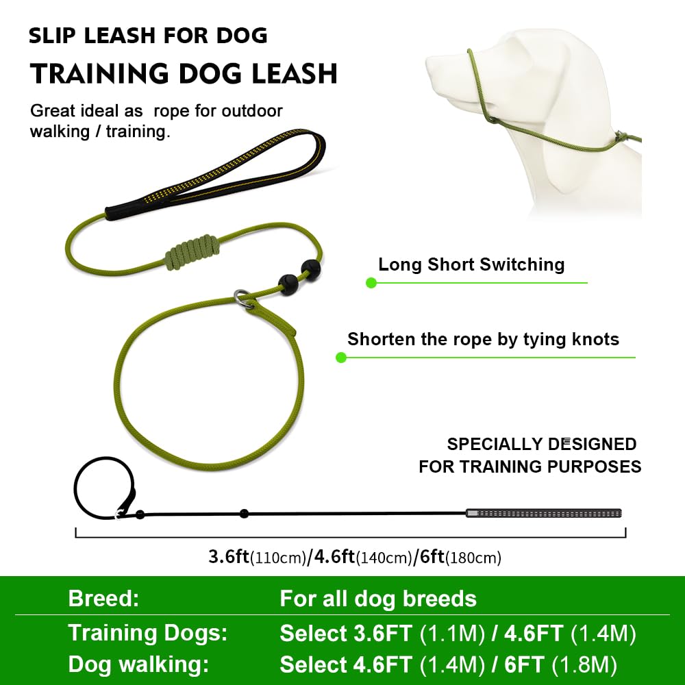 BeauGo Slip Leads for Dogs,Top Speed Training Dog Leash,2-in-1 Slip Collar Dog Training Lead & Collar,6ft Thin Slip Lead,sturdyand Durable, Leash Suitable for Small, Medium, and Large Dogs((Blue)
