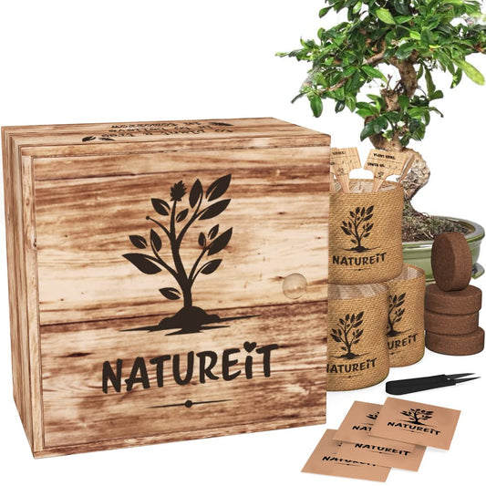 Bonsai Tree Seed Starter Kit - All You Need to Grow 4 Bonsai Trees from Seeds. All-in-One Indoor/Outdoor DIY Beginner Grow kit for Men & Women. Best Gift Idea for Mom and Dad (Premium Gift Box)