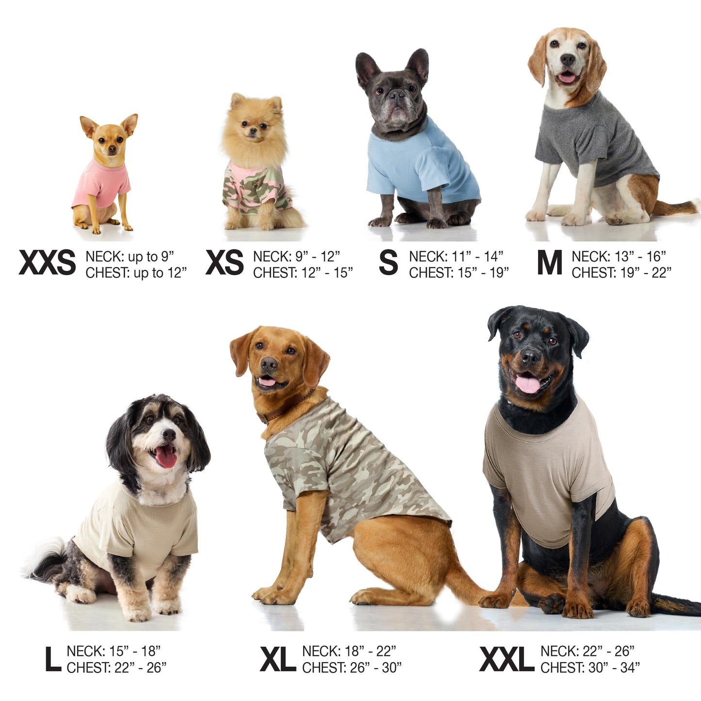 Pet Passion 8-Pack Short Sleeve Pet T-Shirt 100% Organic Cotton Tees Clothes for Small, Medium, Large Dogs | Toby II, Rainbow Blue, Small