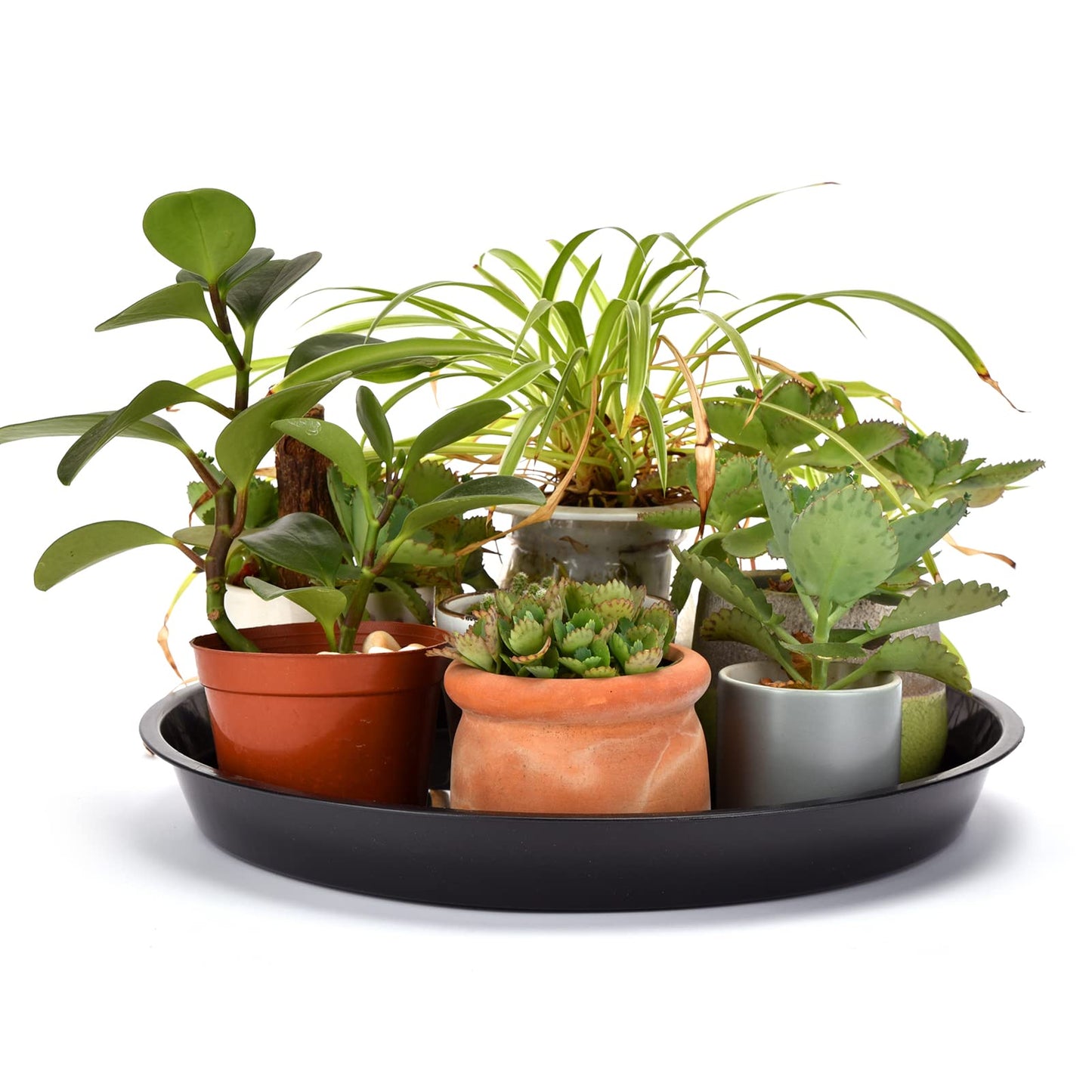 Grespri 15 in Plant Saucers, 5 Pack Black Plastic Trays with 1.6 in Deep Well, Glossy Drip Pans for Indoor/Outdoor, Fits Pot Bases up to 13.3 in, Weather-Ready for Large Pots & Grow Bags
