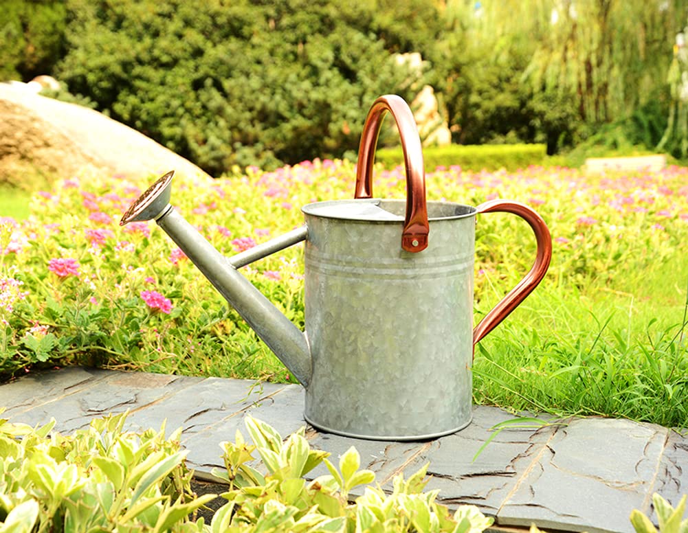 yourjoy Metal Watering Can, One Gallon Watering Cans Stainless Steel for Outdoor Indoor Garden Plants Watering (Silver)