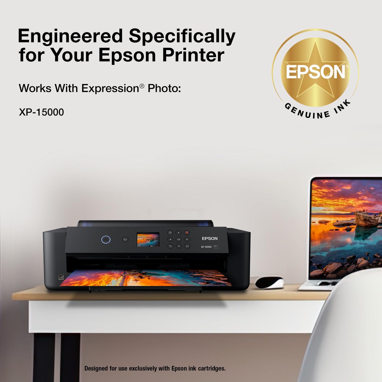 EPSON 314 Claria Photo HD Ink High Capacity Gray Cartridge (T314XL720-S) Works with Expression XP-15000