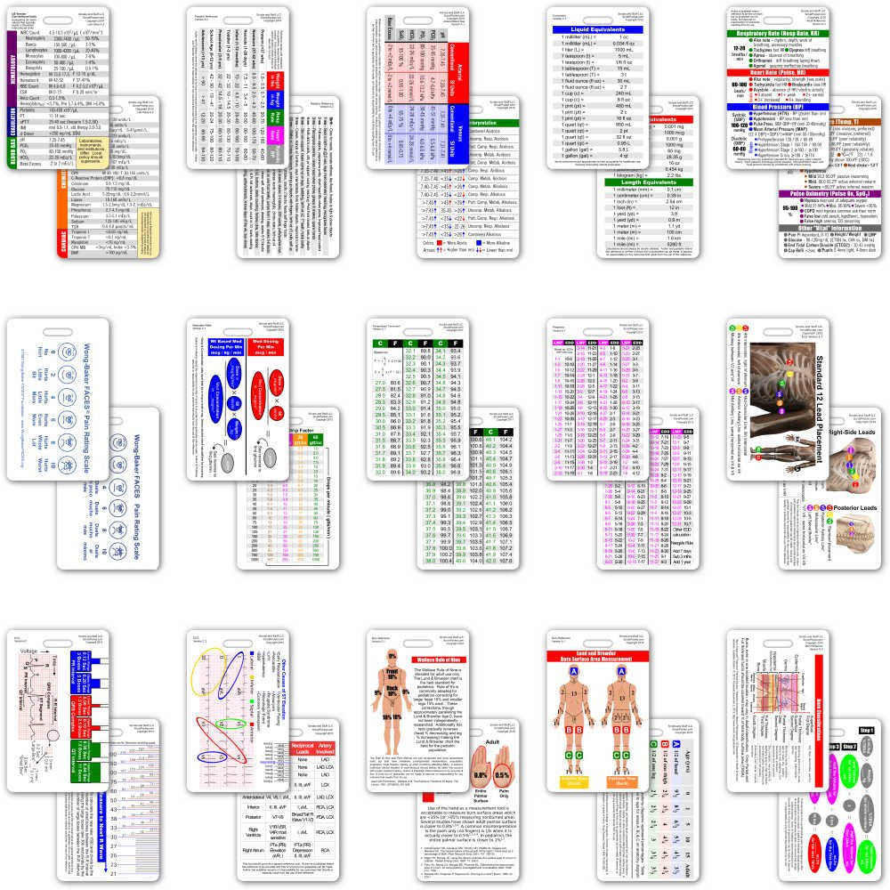 Scrubs and Stuff LLC Comprehensive Vertical Badge Card Reference Set - 30 Cards