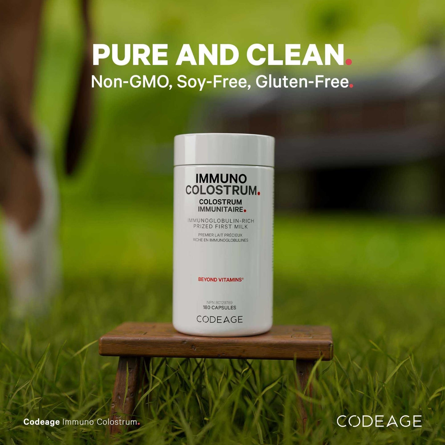 Codeage Immuno Colostrum Supplement - Grass-Fed Bovine Colostrum Pills - Freeze-Dried - Prized First Milk Rich in Immunoglobulins - Cow Colostrum - Colostrum Milk Powder - Non-GMO - 180 Capsules