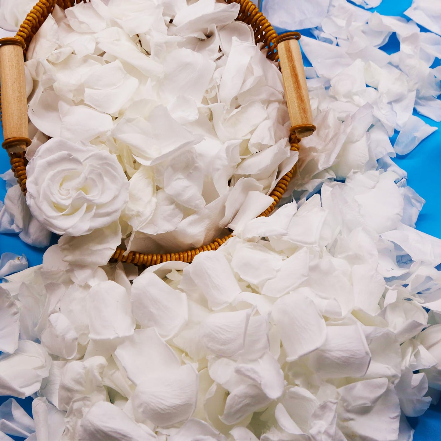 300 PCS Dried White Rose Flower Petals, Real Freeze Ivory Rose Petals for Decor, Wedding, Romantic Night, Proposal Venue, Party Confetti Bridal Shower (2.8oz)