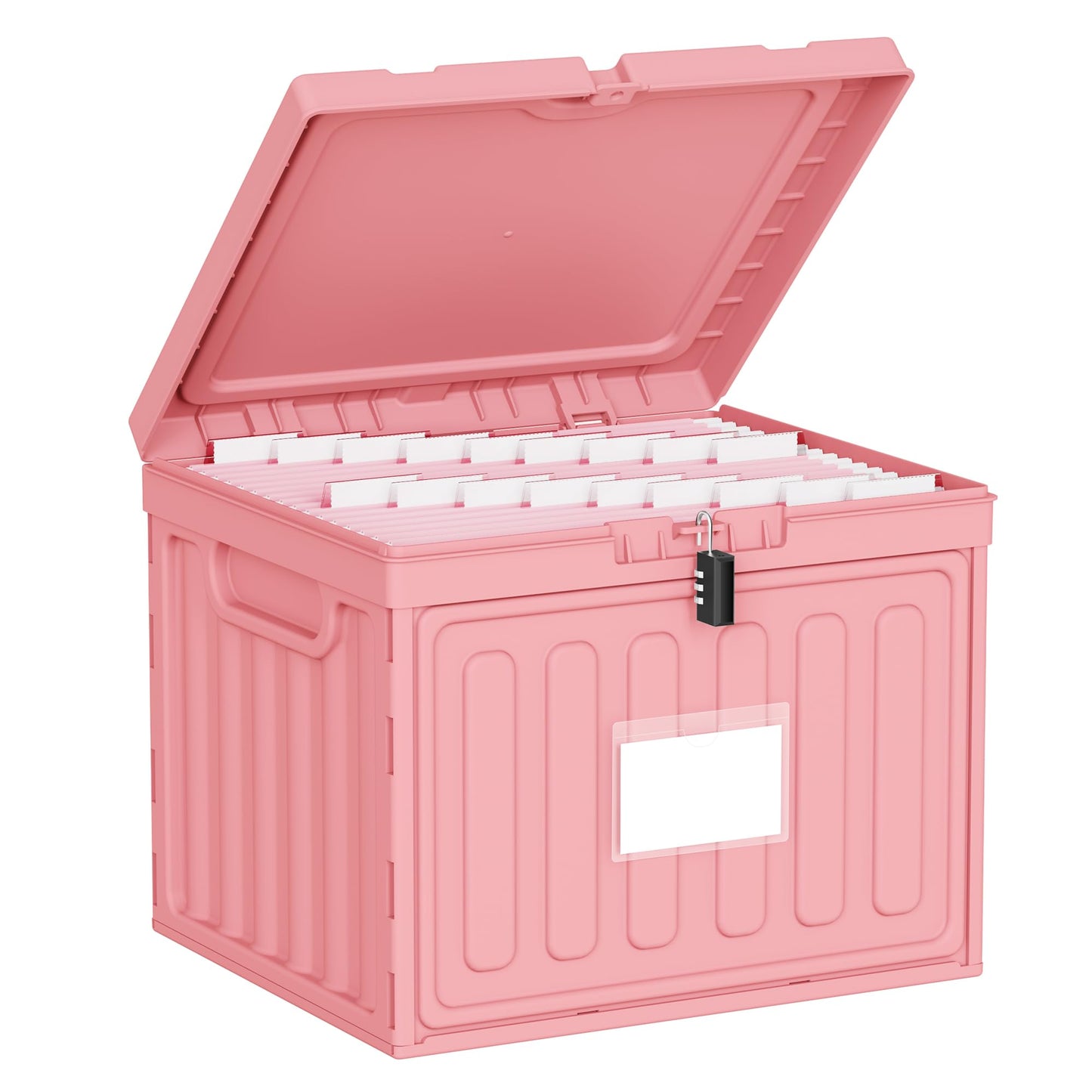 Oterri Plastic File Box with Lid for Letter Size Hanging File Folders, Hanging File Folder Box for Home, Office, School, File Cabinet, Assembly File Organizer, Stackable Storage Bins, Pink
